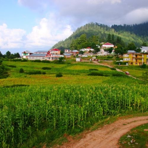 listing-details-carousel